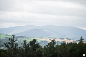 IMG_8077u