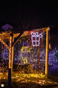IMG_0165-2-2