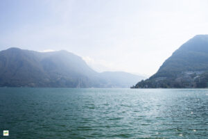 IMG_4115-Enhanced-NR