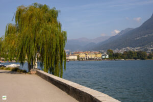 IMG_4118-Enhanced-NR