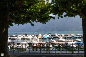 IMG_4123-Enhanced-NR