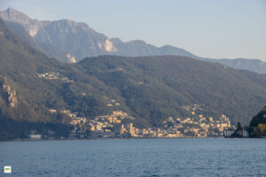 IMG_4249-Enhanced-NR