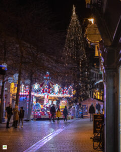 IMG_6259-2