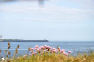 IMG_1834-Enhanced-NR
