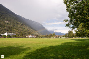 IMG_4305-Enhanced-NR
