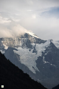 IMG_4312-Enhanced-NR