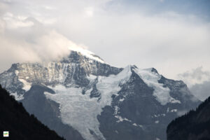 IMG_4313-Enhanced-NR