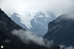 IMG_4318-Enhanced-NR