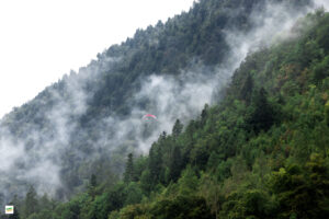 IMG_4382-Enhanced-NR-2