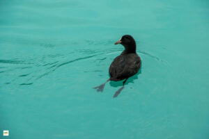 IMG_4397-Enhanced-NR