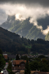 IMG_4503-Enhanced-NR