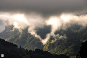 IMG_4506-Enhanced-NR