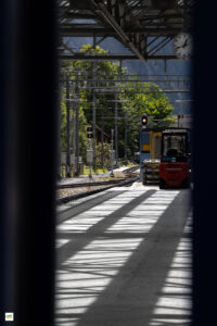 IMG_4571