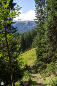 IMG_4636