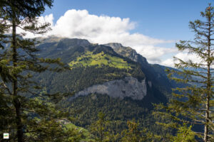 IMG_4640-Enhanced-NR