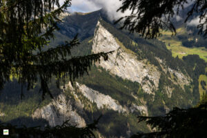 IMG_4648-Enhanced-NR