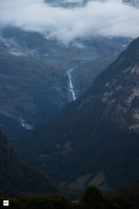IMG_4779-Enhanced-NR