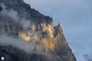 IMG_4784-Enhanced-NR-2