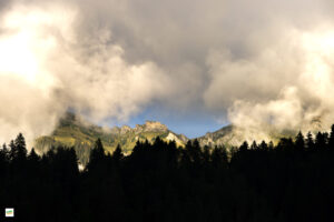 IMG_4786-Enhanced-NR