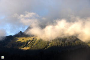 IMG_4797-Enhanced-NR