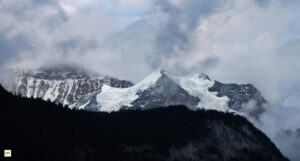IMG_4800-Enhanced-NR