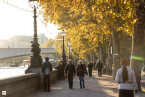 IMG_9424u