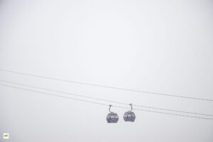 IMG_9509u