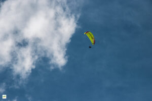 IMG_4851-Enhanced-NR