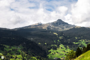 IMG_4870
