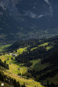 IMG_5174