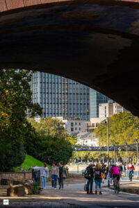 IMG_6443