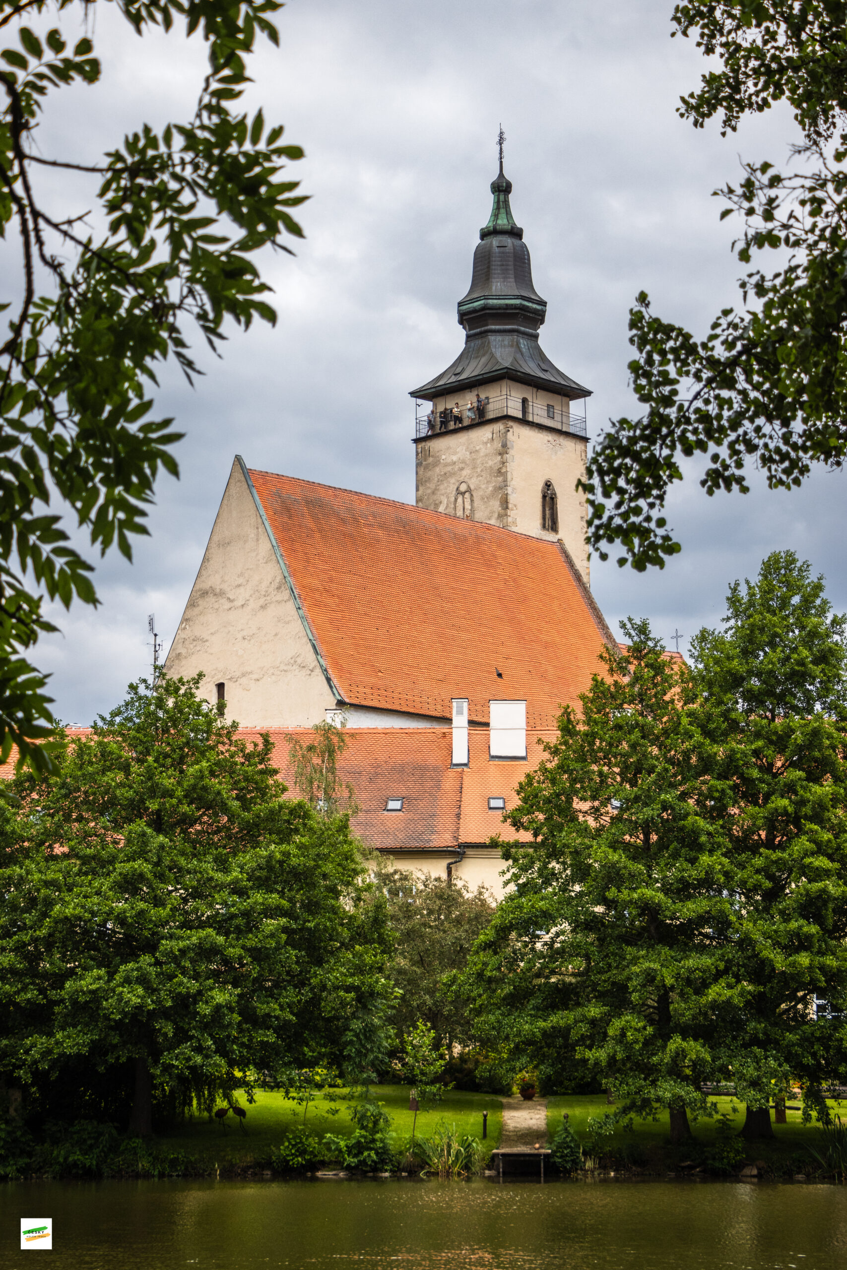 IMG_7617