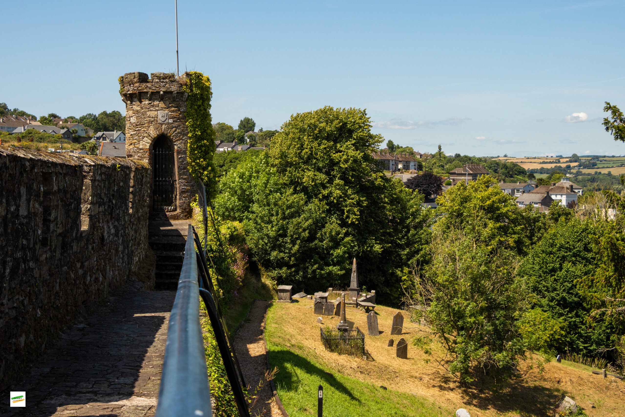 _MG_5730-2